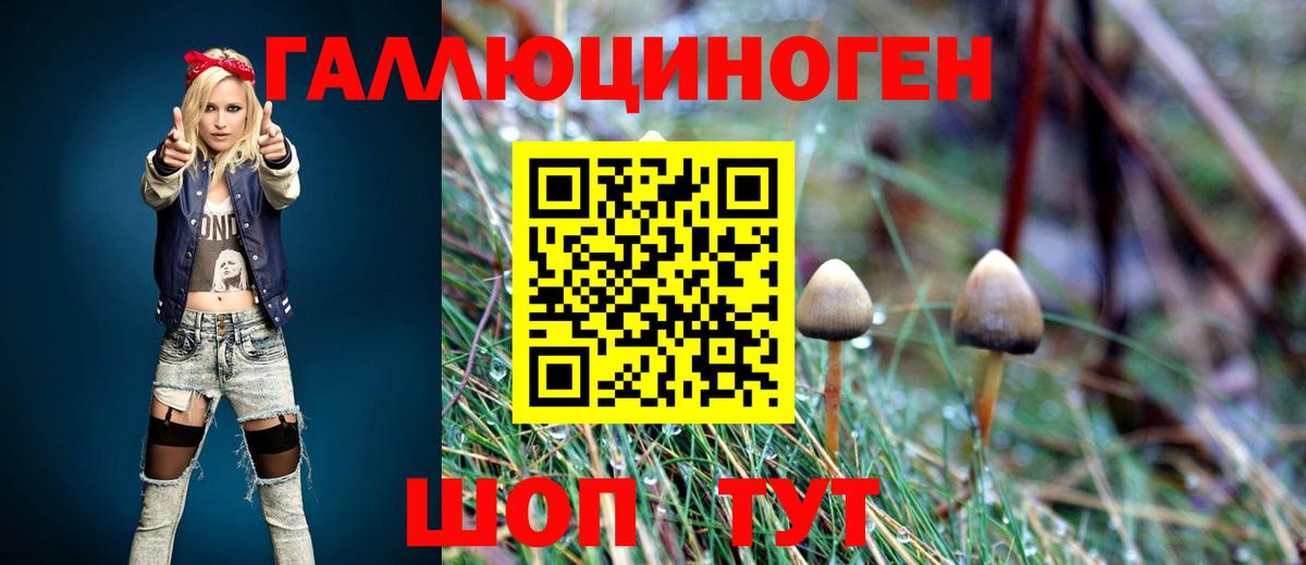Галлюциногенные грибы мухоморы  Вход с VPN  Верхняя Пышма  Псилоцибиновые грибы Magic Shrooms 